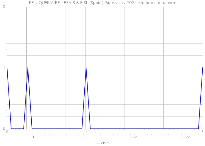 PELUQUERIA BELLEZA B & B SL (Spain) Page visits 2024 