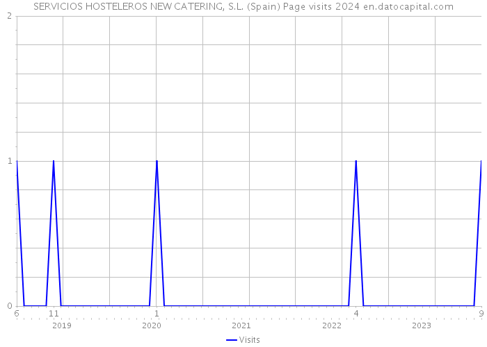 SERVICIOS HOSTELEROS NEW CATERING, S.L. (Spain) Page visits 2024 