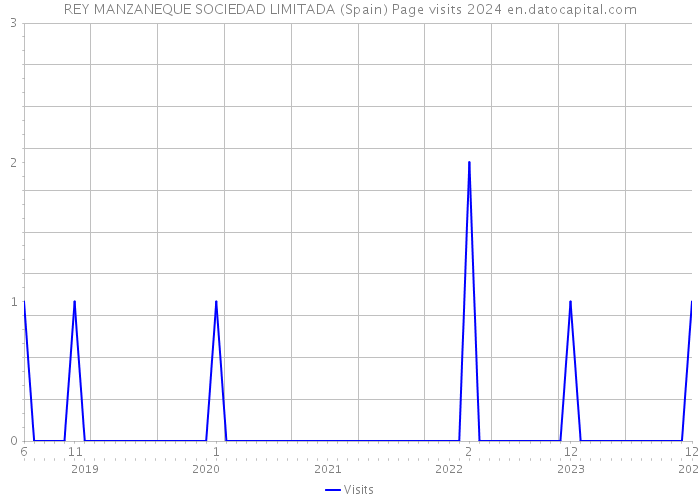 REY MANZANEQUE SOCIEDAD LIMITADA (Spain) Page visits 2024 