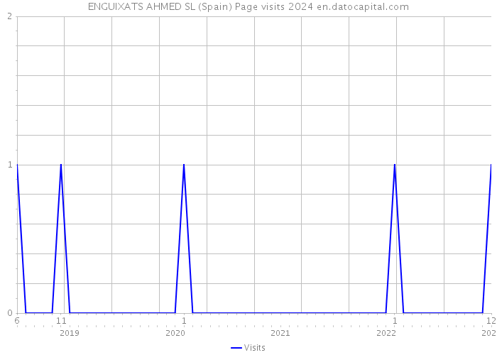 ENGUIXATS AHMED SL (Spain) Page visits 2024 