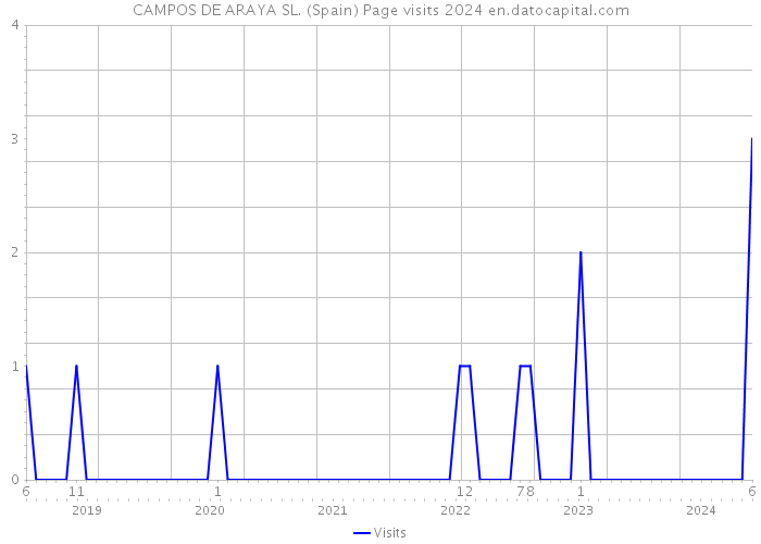 CAMPOS DE ARAYA SL. (Spain) Page visits 2024 