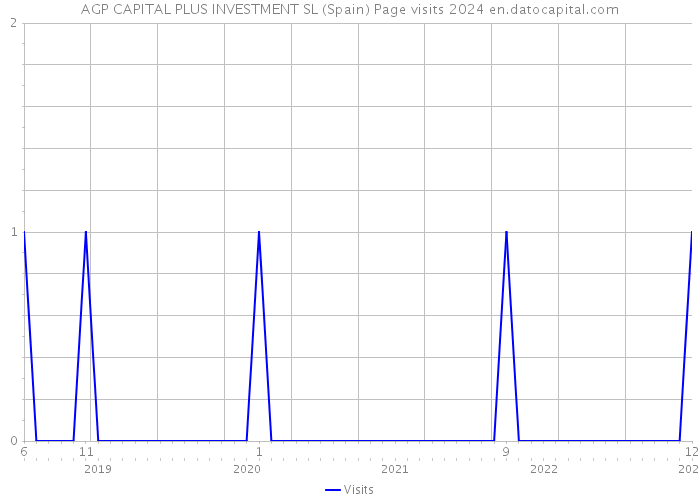 AGP CAPITAL PLUS INVESTMENT SL (Spain) Page visits 2024 