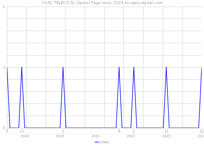 CASIL TELECO SL (Spain) Page visits 2024 