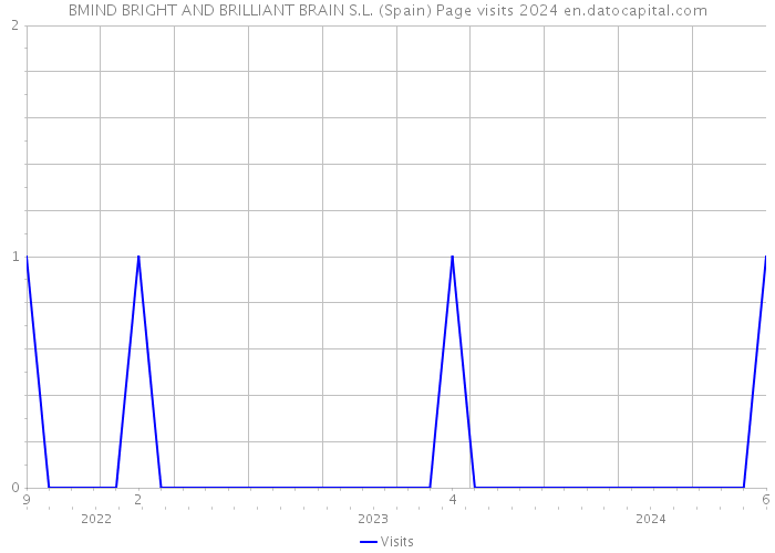 BMIND BRIGHT AND BRILLIANT BRAIN S.L. (Spain) Page visits 2024 