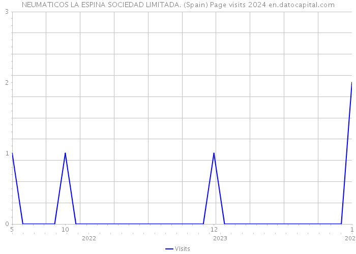 NEUMATICOS LA ESPINA SOCIEDAD LIMITADA. (Spain) Page visits 2024 