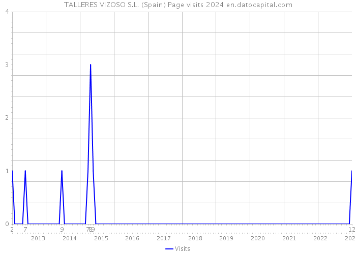 TALLERES VIZOSO S.L. (Spain) Page visits 2024 