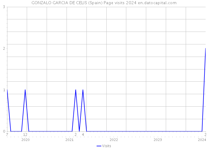 GONZALO GARCIA DE CELIS (Spain) Page visits 2024 