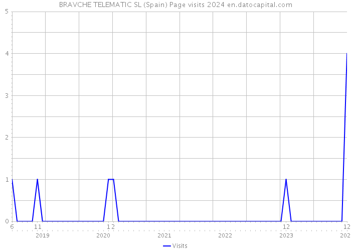 BRAVCHE TELEMATIC SL (Spain) Page visits 2024 