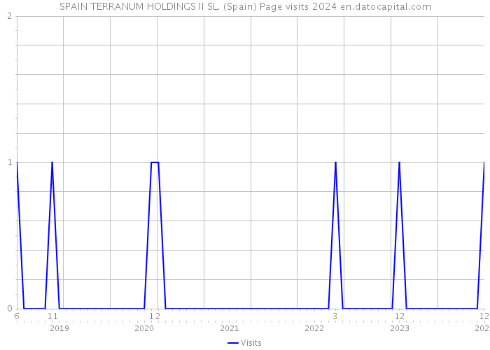SPAIN TERRANUM HOLDINGS II SL. (Spain) Page visits 2024 