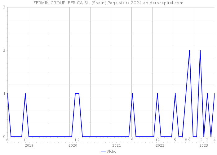FERMIN GROUP IBERICA SL. (Spain) Page visits 2024 