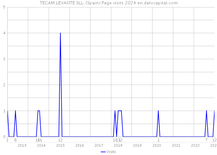 TECAM LEVANTE SLL. (Spain) Page visits 2024 