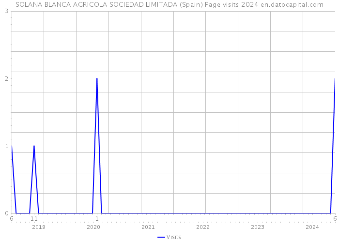 SOLANA BLANCA AGRICOLA SOCIEDAD LIMITADA (Spain) Page visits 2024 