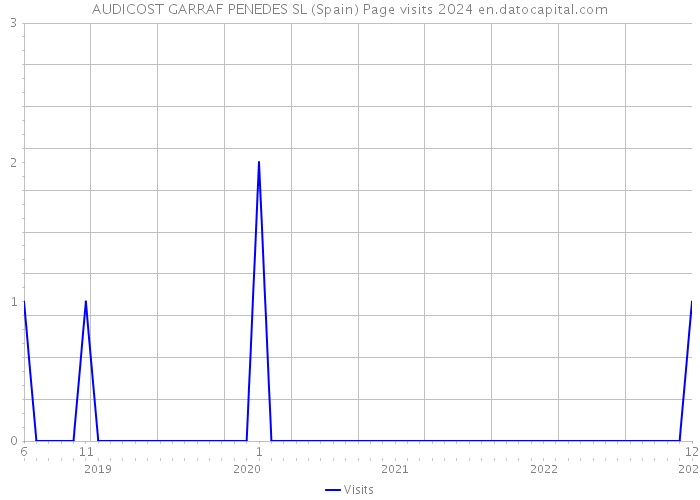 AUDICOST GARRAF PENEDES SL (Spain) Page visits 2024 