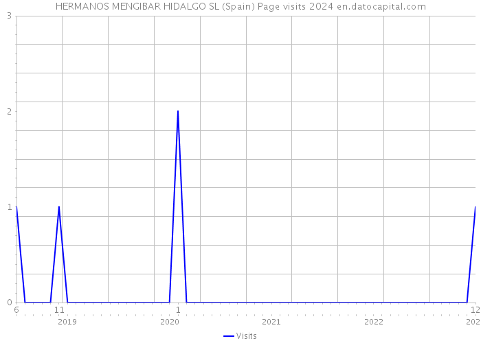 HERMANOS MENGIBAR HIDALGO SL (Spain) Page visits 2024 