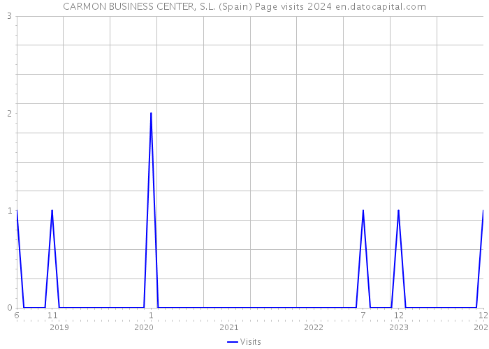 CARMON BUSINESS CENTER, S.L. (Spain) Page visits 2024 