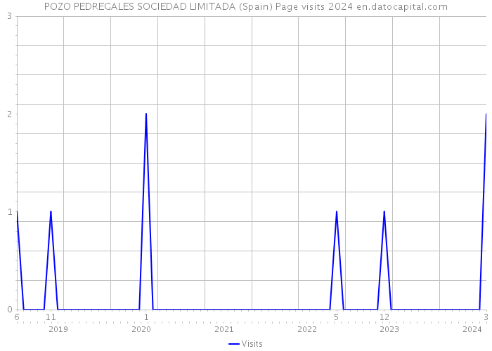 POZO PEDREGALES SOCIEDAD LIMITADA (Spain) Page visits 2024 