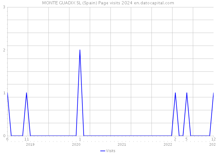 MONTE GUADIX SL (Spain) Page visits 2024 