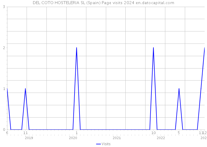 DEL COTO HOSTELERIA SL (Spain) Page visits 2024 