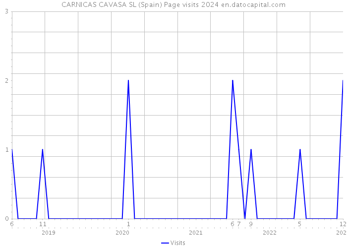 CARNICAS CAVASA SL (Spain) Page visits 2024 