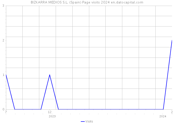 BIZKARRA MEDIOS S.L. (Spain) Page visits 2024 