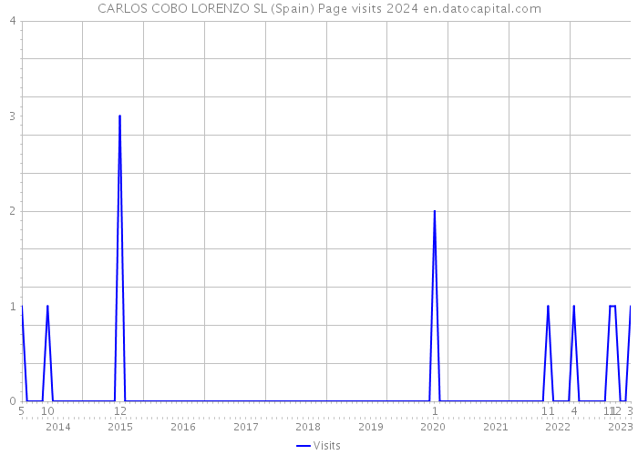 CARLOS COBO LORENZO SL (Spain) Page visits 2024 