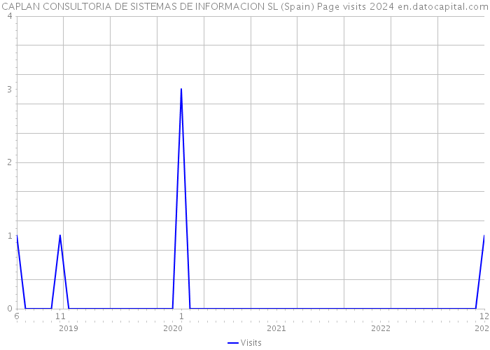 CAPLAN CONSULTORIA DE SISTEMAS DE INFORMACION SL (Spain) Page visits 2024 