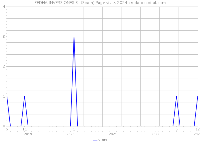 FEDHA INVERSIONES SL (Spain) Page visits 2024 