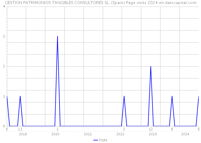 GESTION PATRIMONIOS TANGIBLES CONSULTORES SL. (Spain) Page visits 2024 