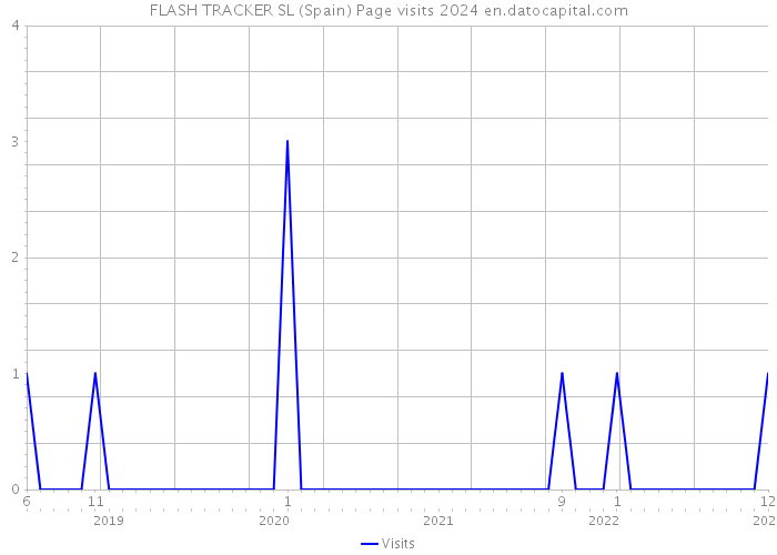 FLASH TRACKER SL (Spain) Page visits 2024 