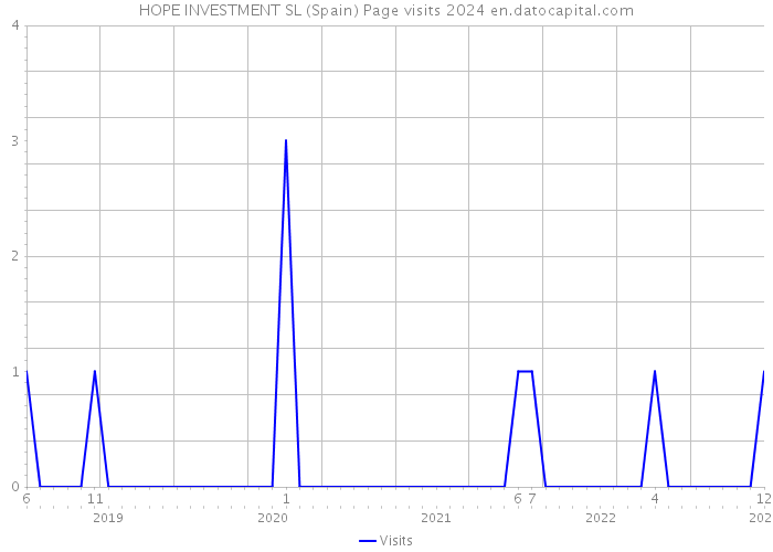 HOPE INVESTMENT SL (Spain) Page visits 2024 