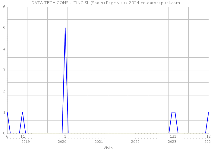 DATA TECH CONSULTING SL (Spain) Page visits 2024 