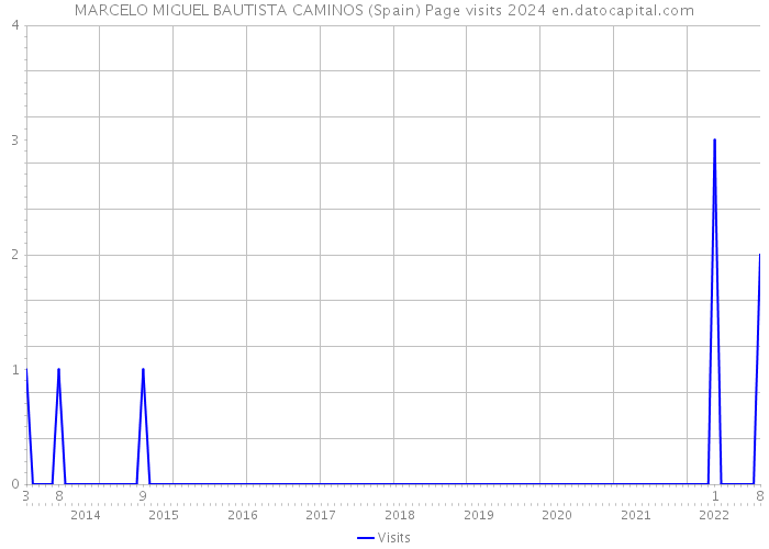 MARCELO MIGUEL BAUTISTA CAMINOS (Spain) Page visits 2024 