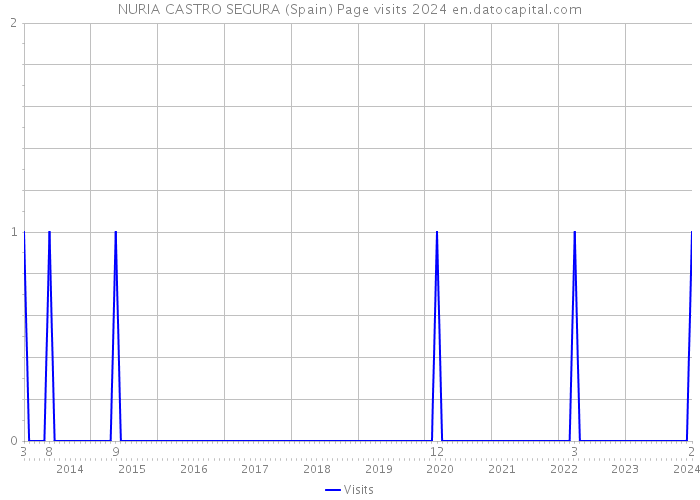 NURIA CASTRO SEGURA (Spain) Page visits 2024 