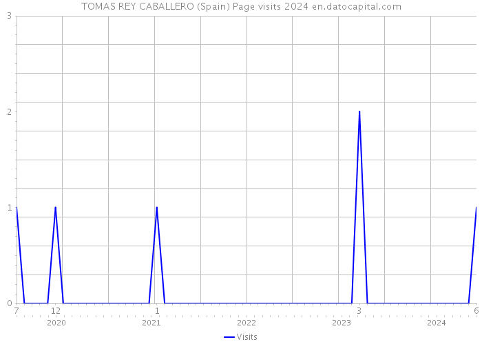 TOMAS REY CABALLERO (Spain) Page visits 2024 