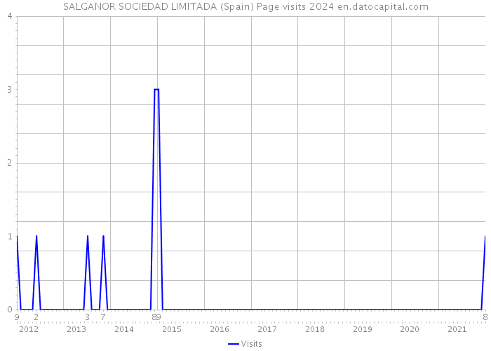 SALGANOR SOCIEDAD LIMITADA (Spain) Page visits 2024 