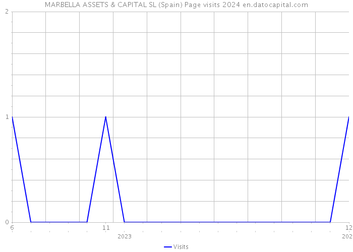 MARBELLA ASSETS & CAPITAL SL (Spain) Page visits 2024 