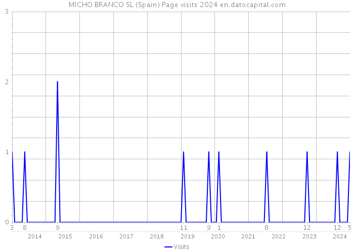 MICHO BRANCO SL (Spain) Page visits 2024 