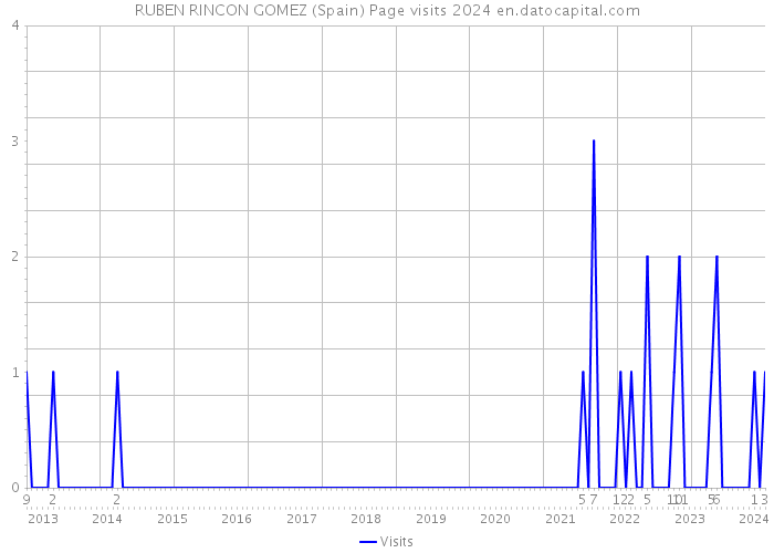 RUBEN RINCON GOMEZ (Spain) Page visits 2024 