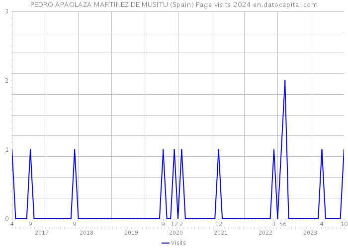 PEDRO APAOLAZA MARTINEZ DE MUSITU (Spain) Page visits 2024 