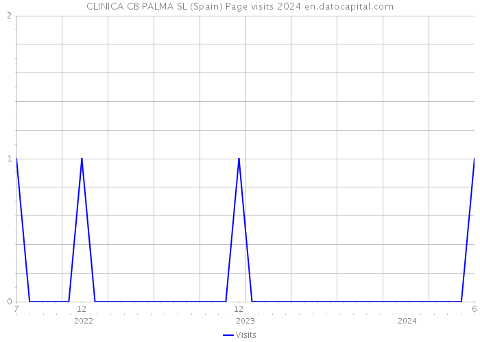 CLINICA CB PALMA SL (Spain) Page visits 2024 