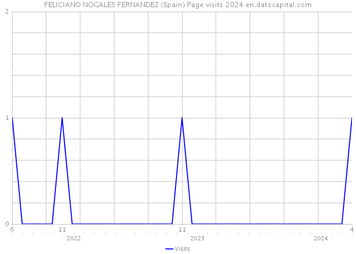 FELICIANO NOGALES FERNANDEZ (Spain) Page visits 2024 