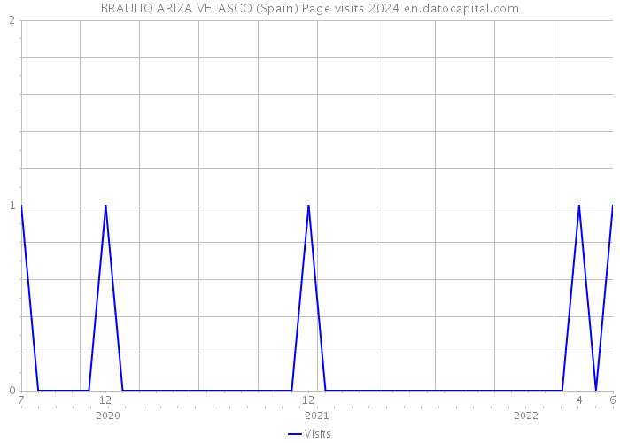 BRAULIO ARIZA VELASCO (Spain) Page visits 2024 