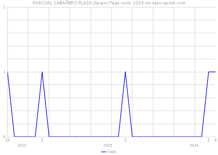 PASCUAL CABAÑERO PLAZA (Spain) Page visits 2024 