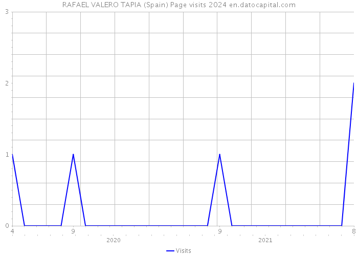 RAFAEL VALERO TAPIA (Spain) Page visits 2024 