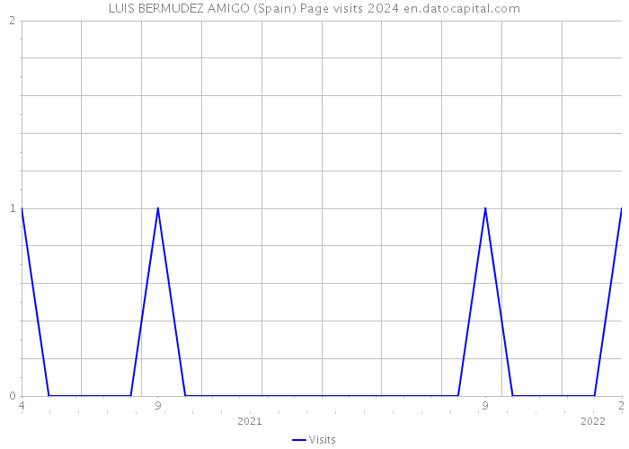 LUIS BERMUDEZ AMIGO (Spain) Page visits 2024 