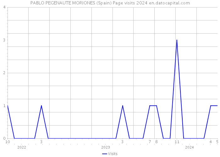 PABLO PEGENAUTE MORIONES (Spain) Page visits 2024 