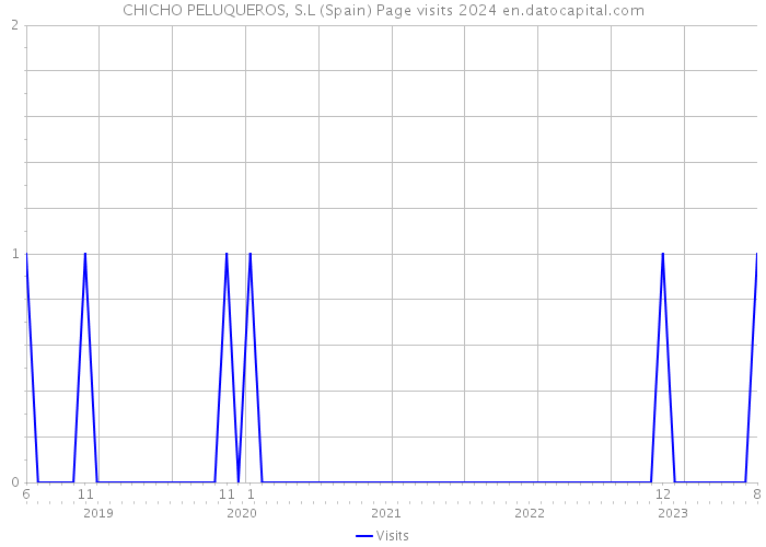 CHICHO PELUQUEROS, S.L (Spain) Page visits 2024 