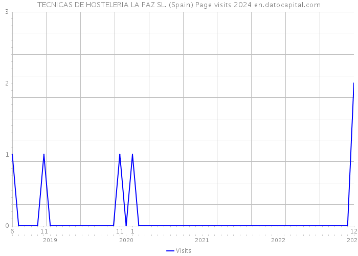 TECNICAS DE HOSTELERIA LA PAZ SL. (Spain) Page visits 2024 