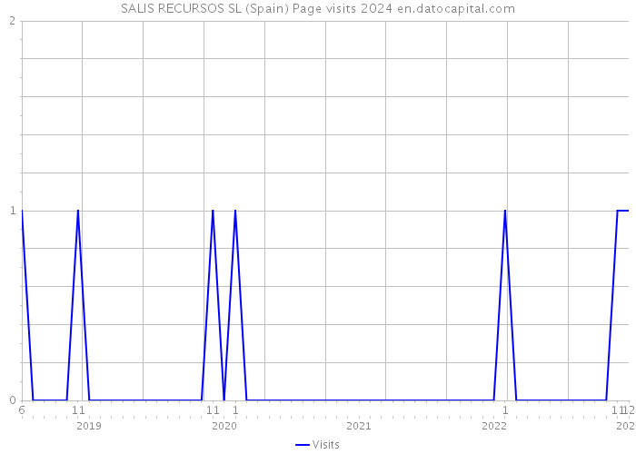 SALIS RECURSOS SL (Spain) Page visits 2024 
