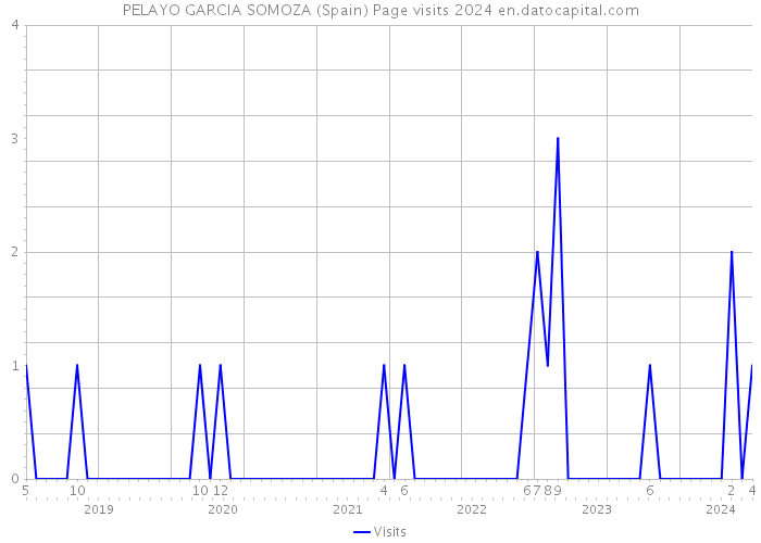 PELAYO GARCIA SOMOZA (Spain) Page visits 2024 